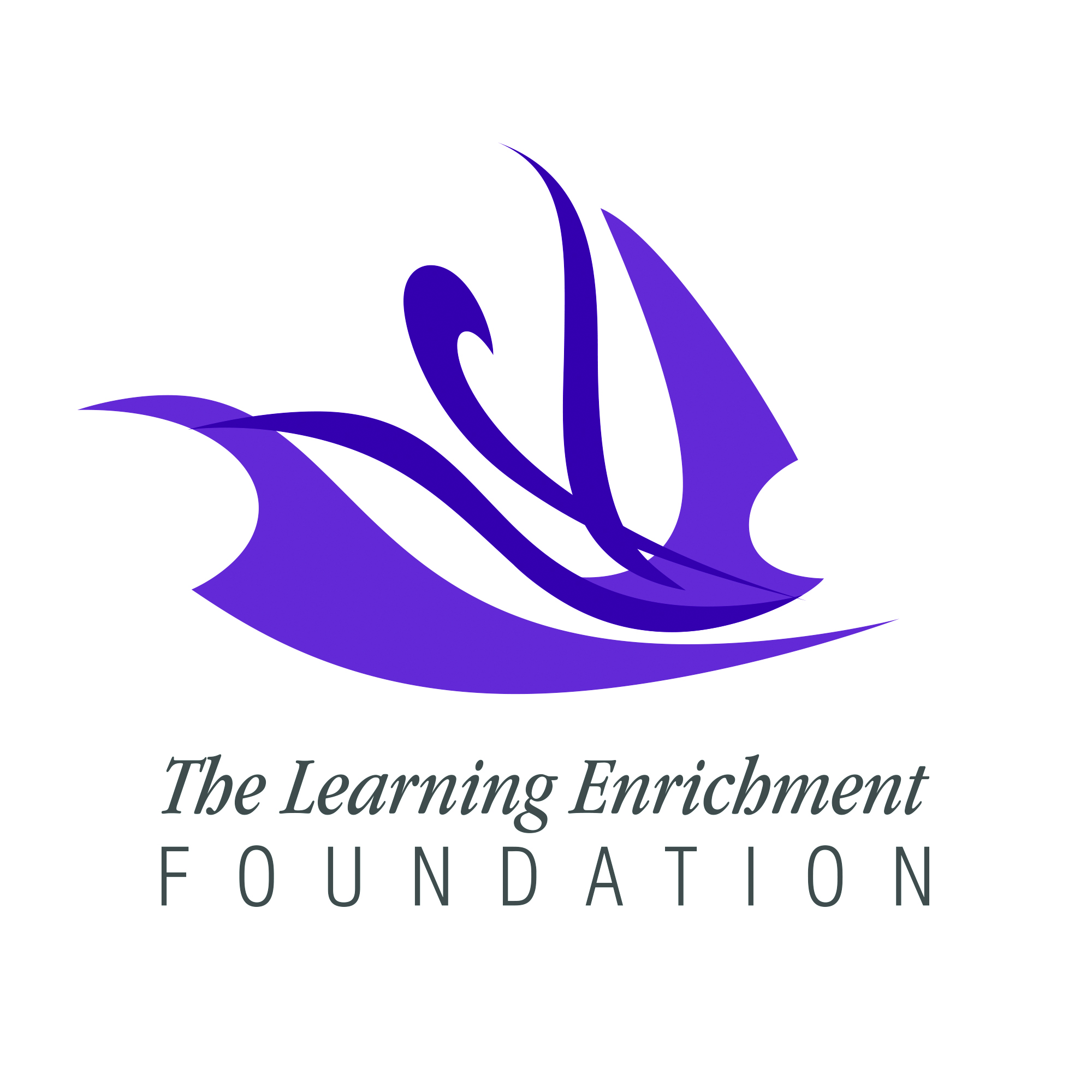The Learning Enrichment Foundation